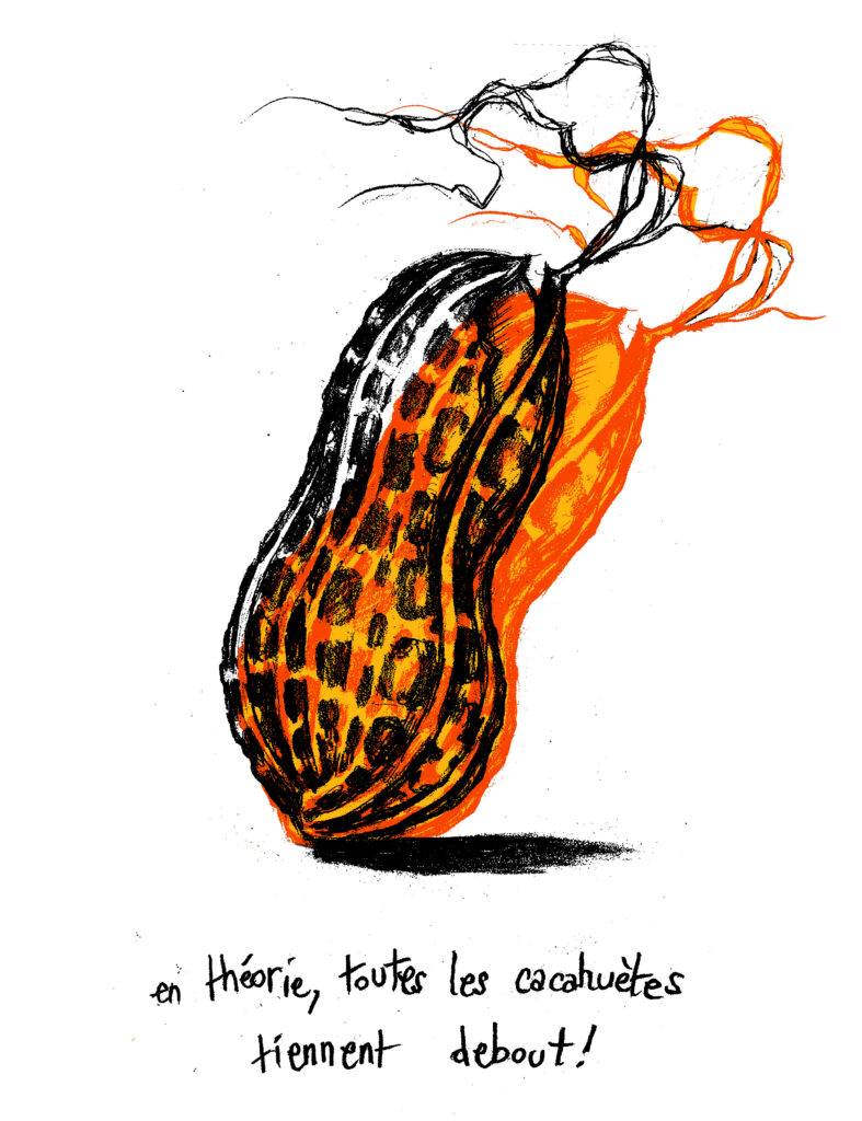 dessin de Petite Scarabée